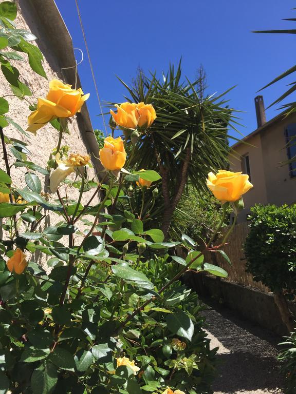 Le Castellamar Hotel Sainte-Maxime